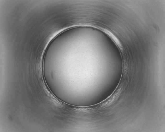 X0000115531004200911201716