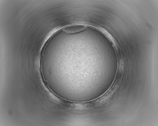 X0000115531005200911201716