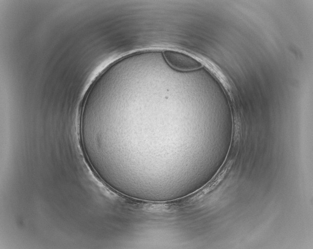 X0000115531006200911201716