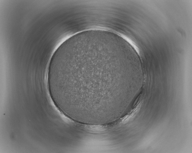 X0000115531007200911201716