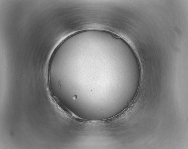 X0000115531008200911201716