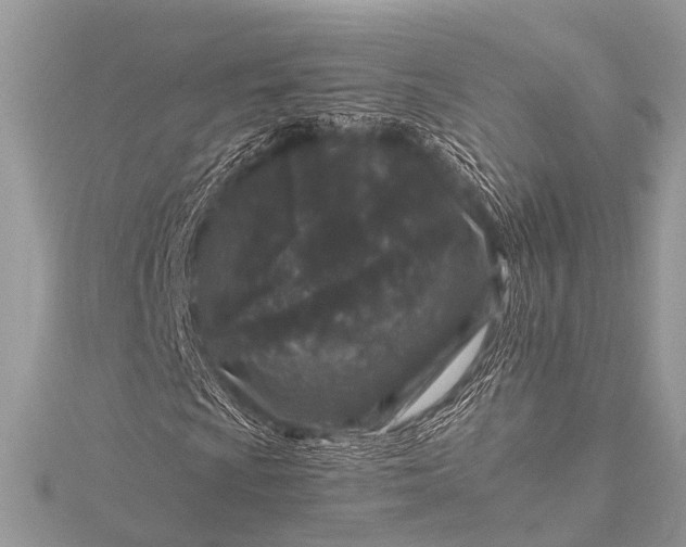 X0000115531009200911201715