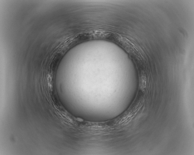 X0000115531010200911201715