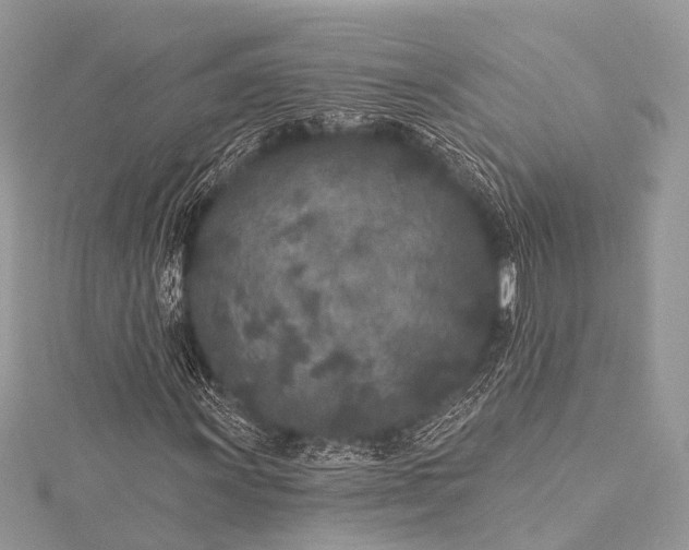 X0000115531011200911201715