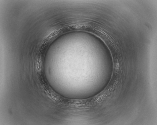 X0000115531014200911201715