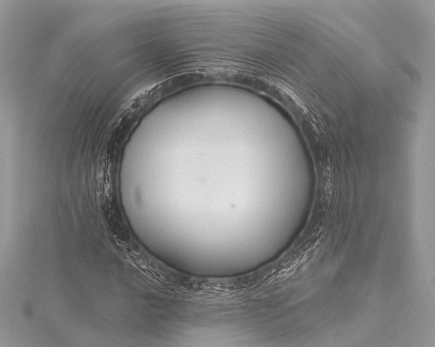 X0000115531016200911201715