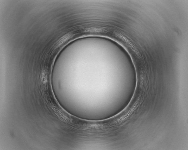 X0000115531017200911201715