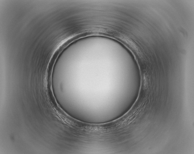 X0000115531020200911201715