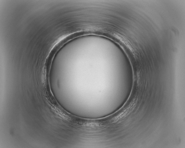 X0000115531021200911201715