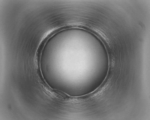 X0000115531022200911201715