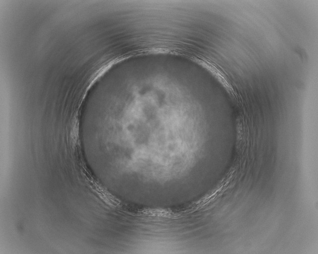 X0000115531023200911201715