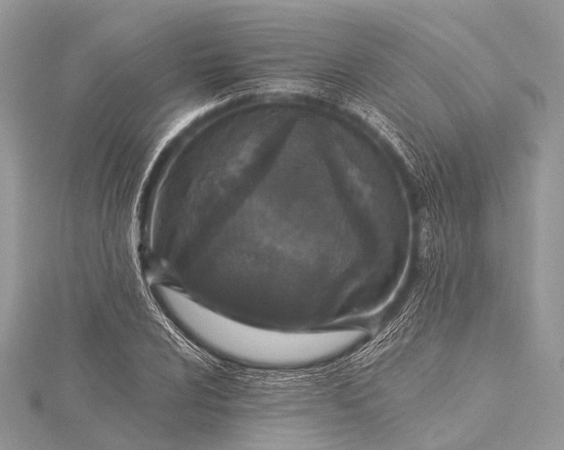 X0000115531024200911201715