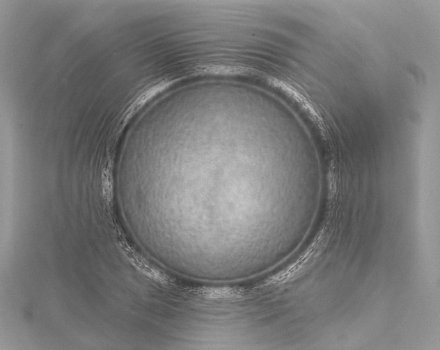 X0000115531025200911201715