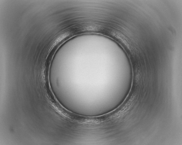 X0000115531026200911201715