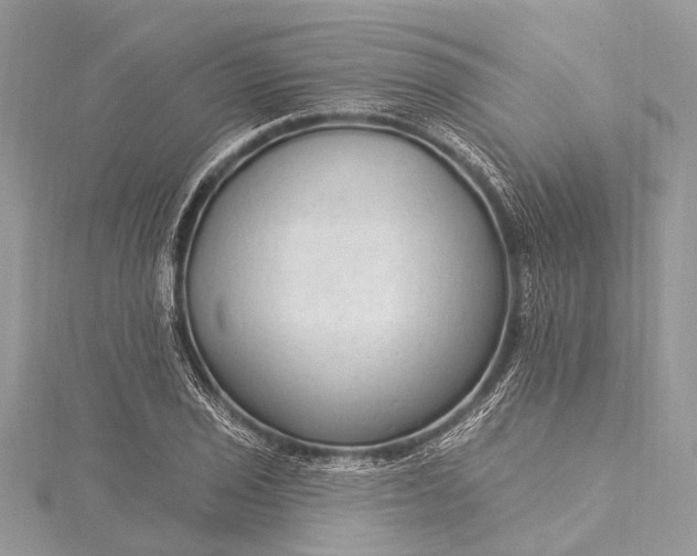 X0000115531029200911201715