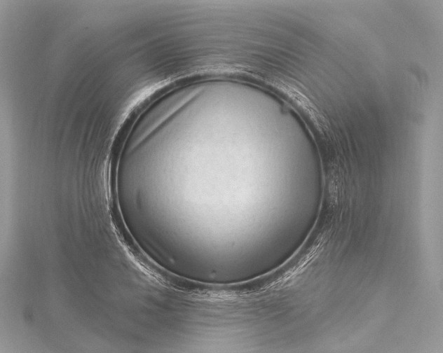 X0000115531030200911201715