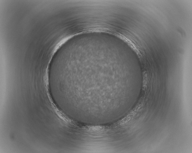 X0000115531031200911201715