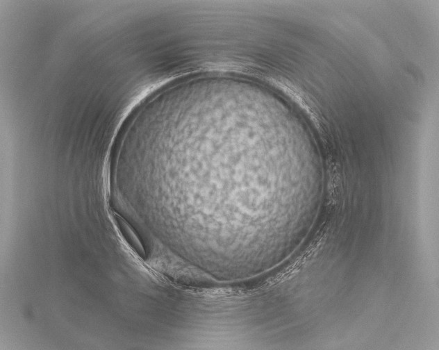 X0000115531032200911201715