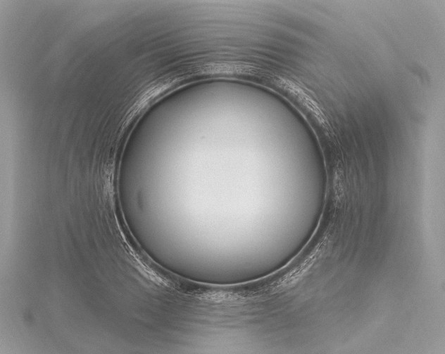 X0000115531033200911201715