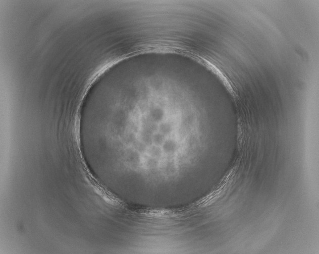 X0000115531035200911201715