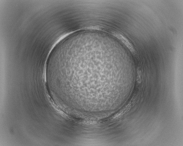 X0000115531036200911201715