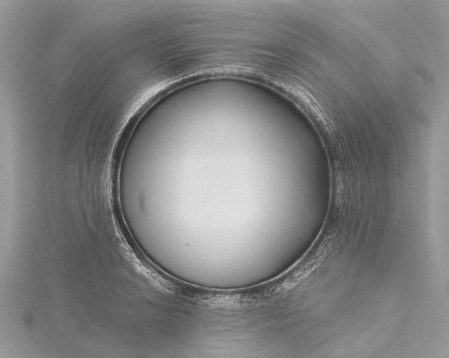 X0000115531038200911201715