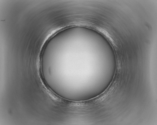 X0000115531040200911201715