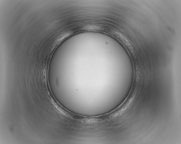 X0000115531041200911201715