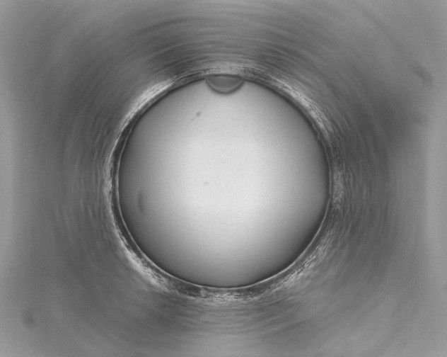 X0000115531042200911201715