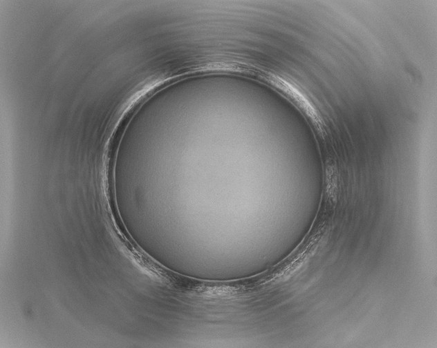 X0000115531043200911201715