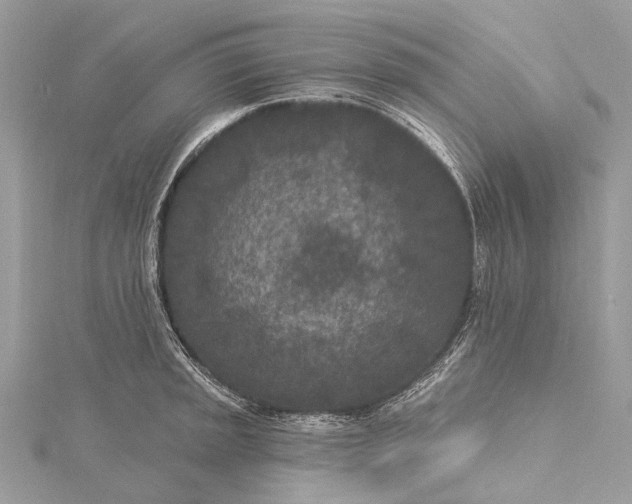 X0000115531045200911201715