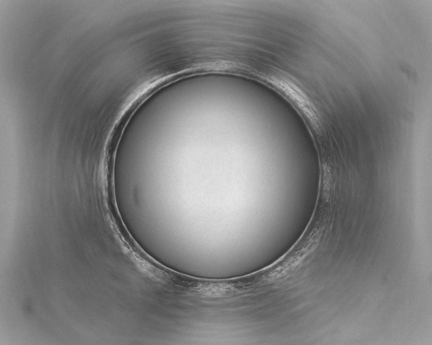 X0000115531046200911201715