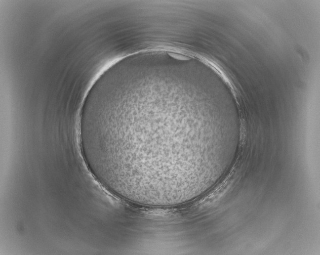 X0000115531048200911201715