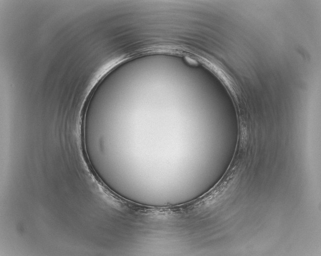 X0000115531050200911201715