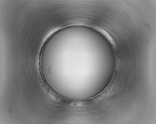 X0000115531051200911201715