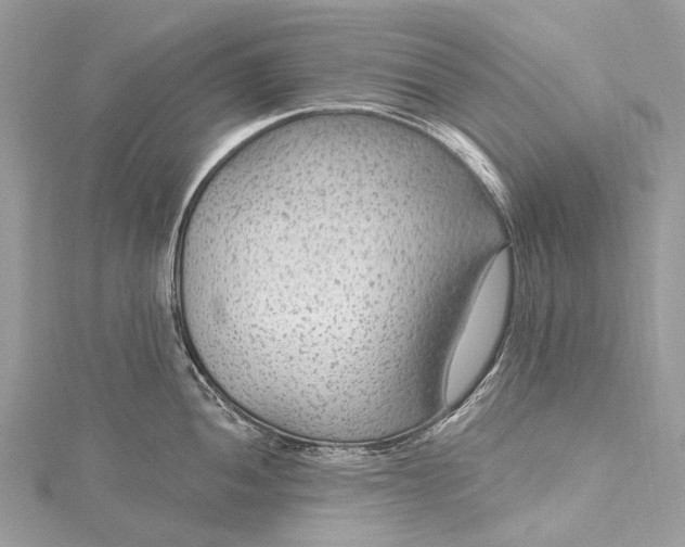 X0000115531052200911201715