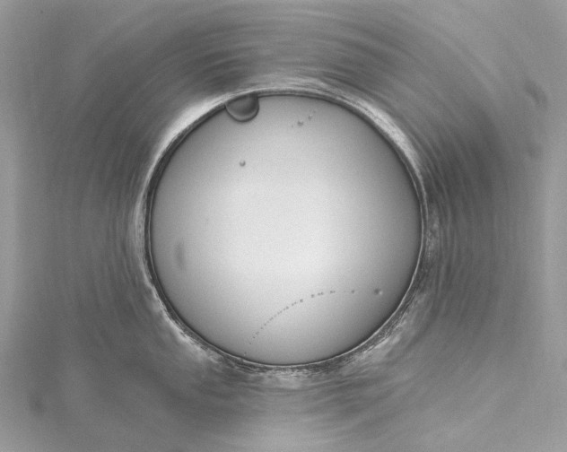 X0000115531053200911201716