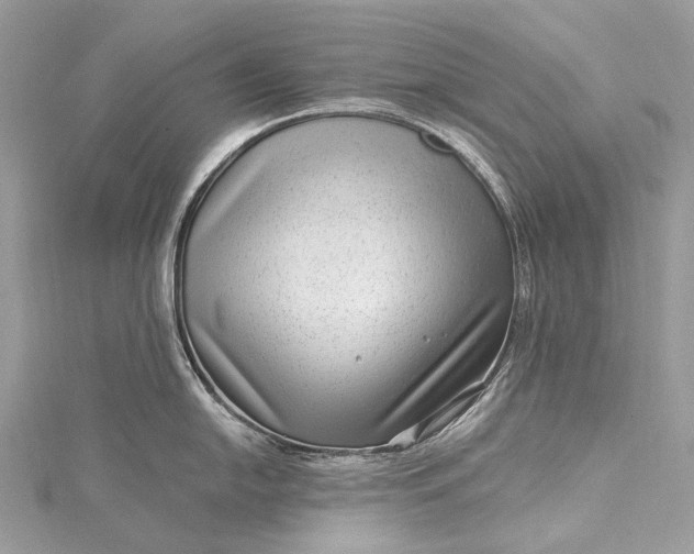 X0000115531054200911201716