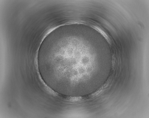 X0000115531055200911201716