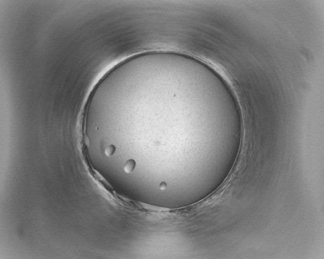 X0000115531056200911201716