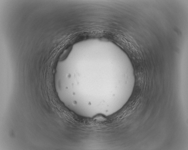 X0000115531057200911201715