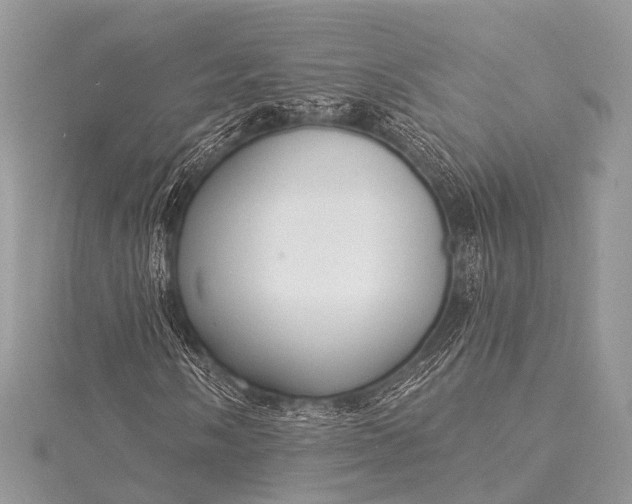 X0000115531058200911201715