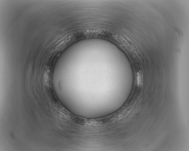 X0000115531059200911201715