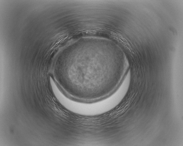 X0000115531060200911201715