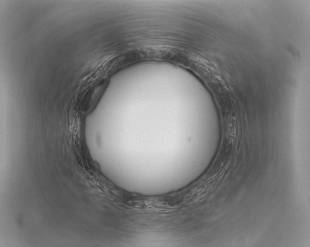 X0000115531061200911201715