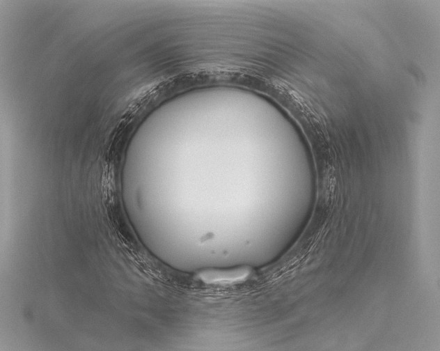 X0000115531062200911201715