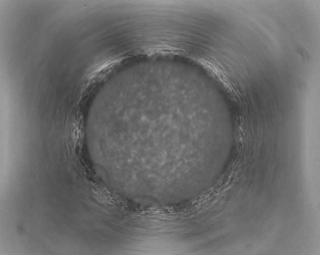 X0000115531063200911201715