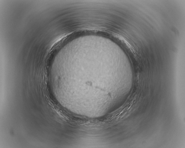 X0000115531064200911201715