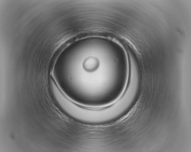 X0000115531065200911201715