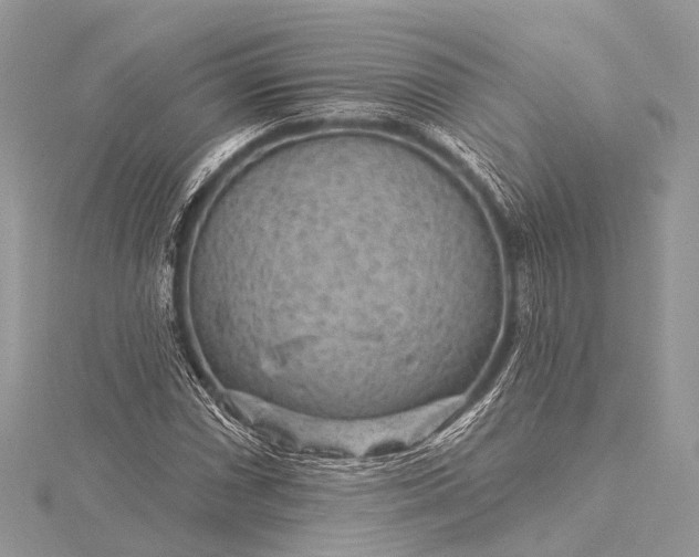 X0000115531066200911201715